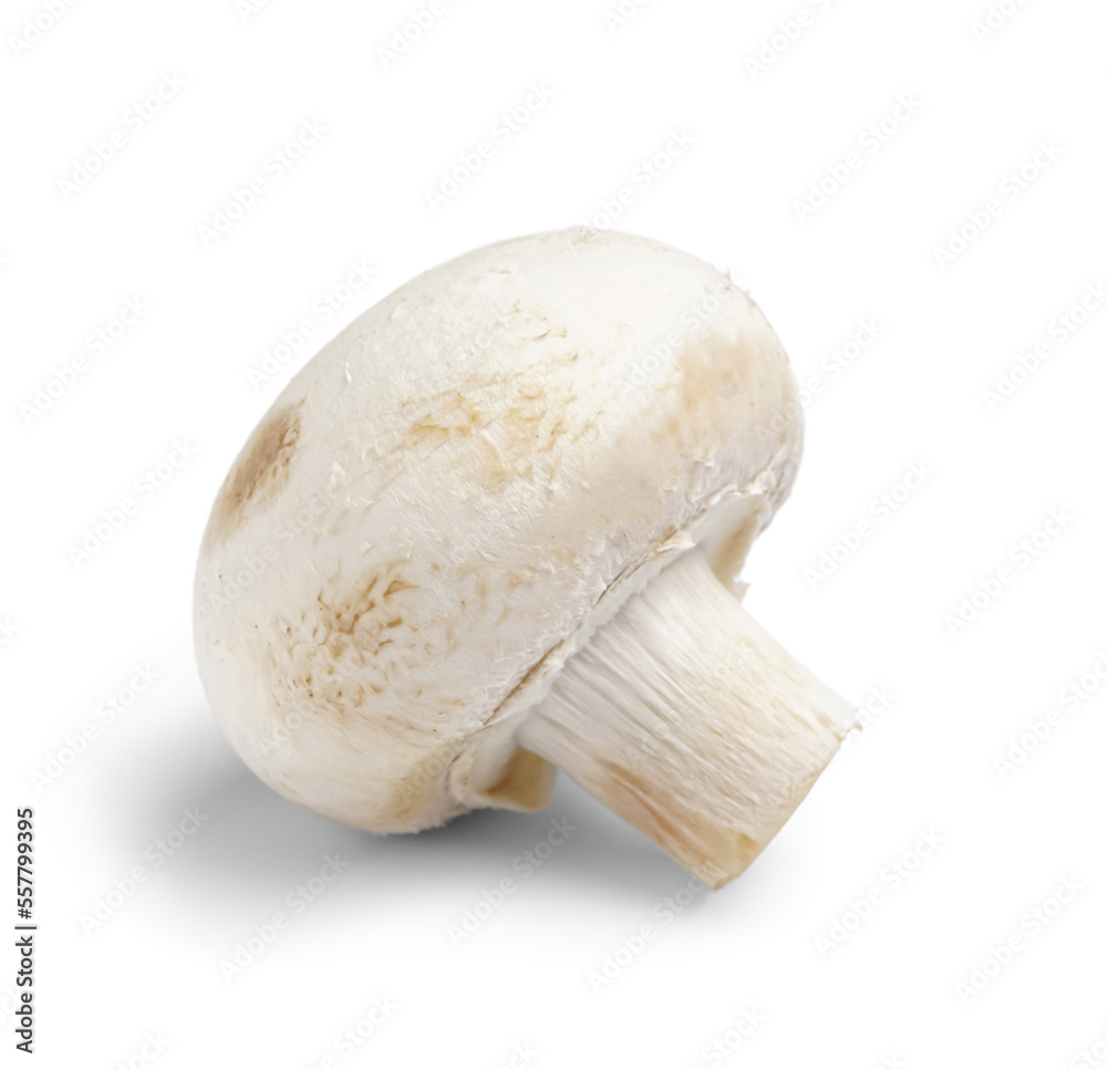Raw champignon mushroom on white background Raw champignon mushroom on white background