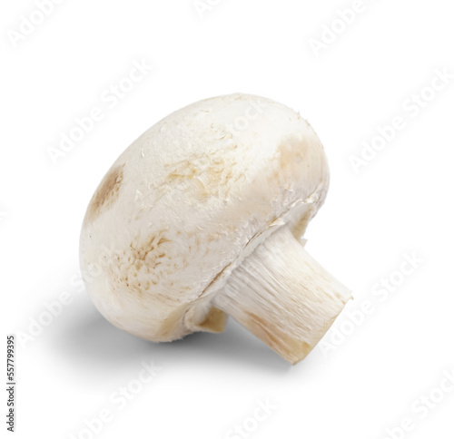Raw champignon mushroom on white background