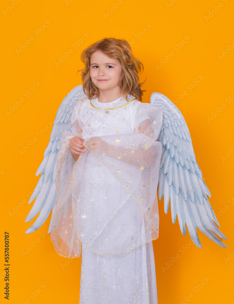 Cute angel kid, studio portrait. Blonde curly little angel child with angels wings, isolated background. Cute angel kid, studio portrait. Blonde curly little angel child with angels wings, isolated background.