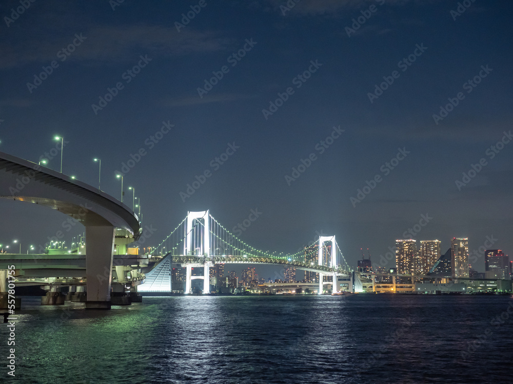 Fototapeta premium レインボーブリッジの夜景