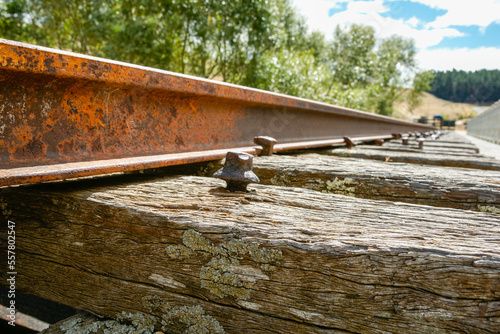 Billede på lærred Old defunct railway line in rusted condition