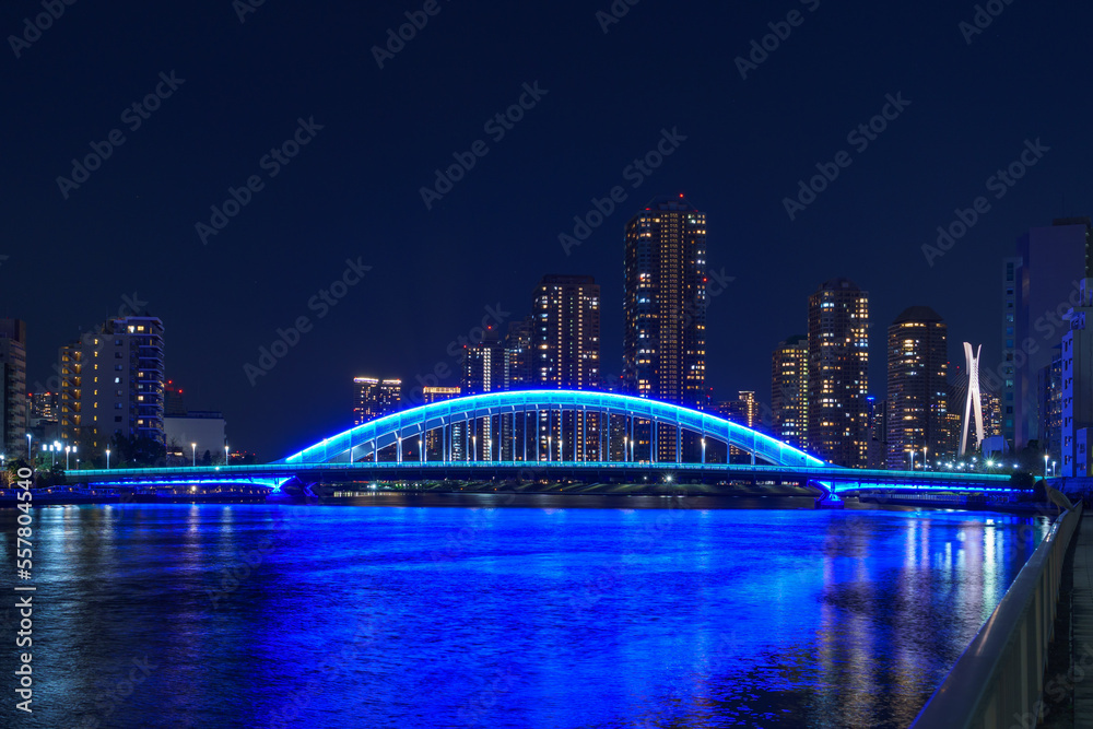 Naklejka premium 夜の永代橋