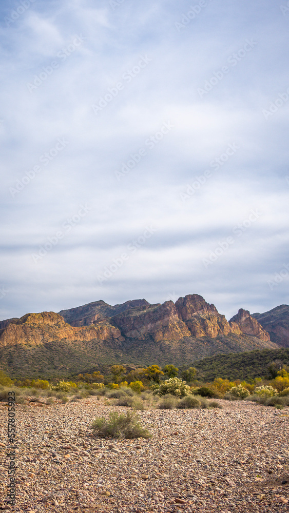 Fototapeta premium red rock canyon