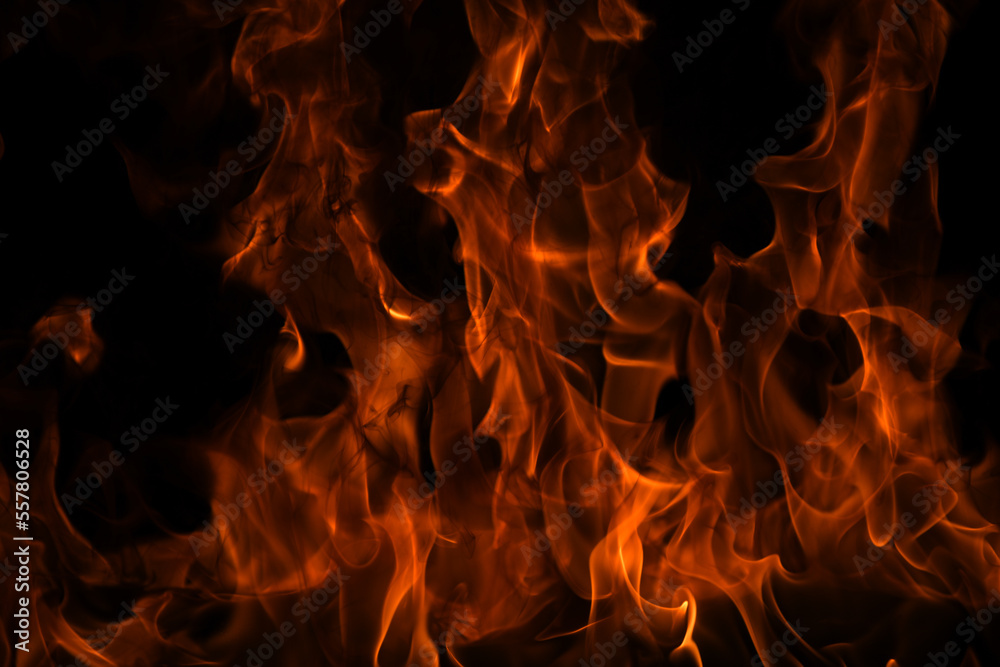 The fire, burning flame. Large burning flaming fire. The fire, burning flame. Large burning flaming fire.