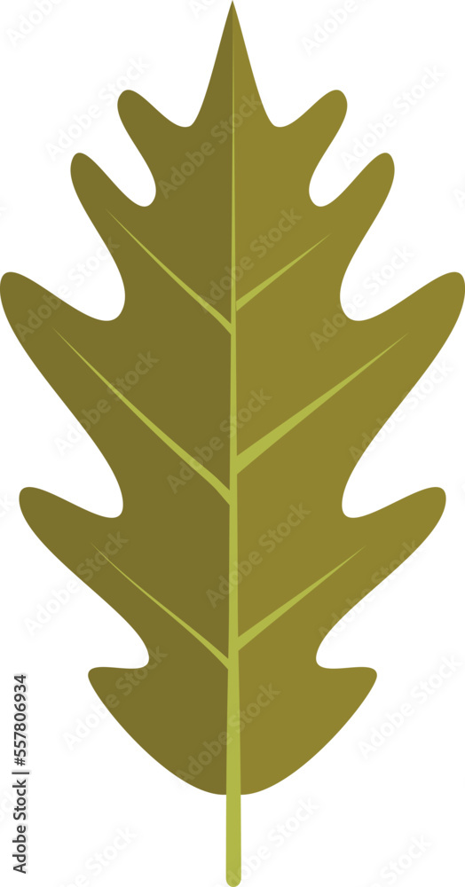 Fototapeta premium Oak leaf icon flat vector. Autumn fall. Nature season isolated