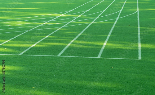 Fototapeta Naklejka Na Ścianę i Meble -  Green grass background, football field