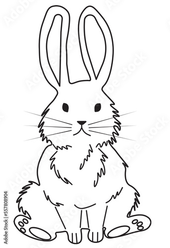  linear drawing of cute lovely pretty bunny, rabbit or hare. Easter symbol or mascot. Vector Ilustration isolated on white background.