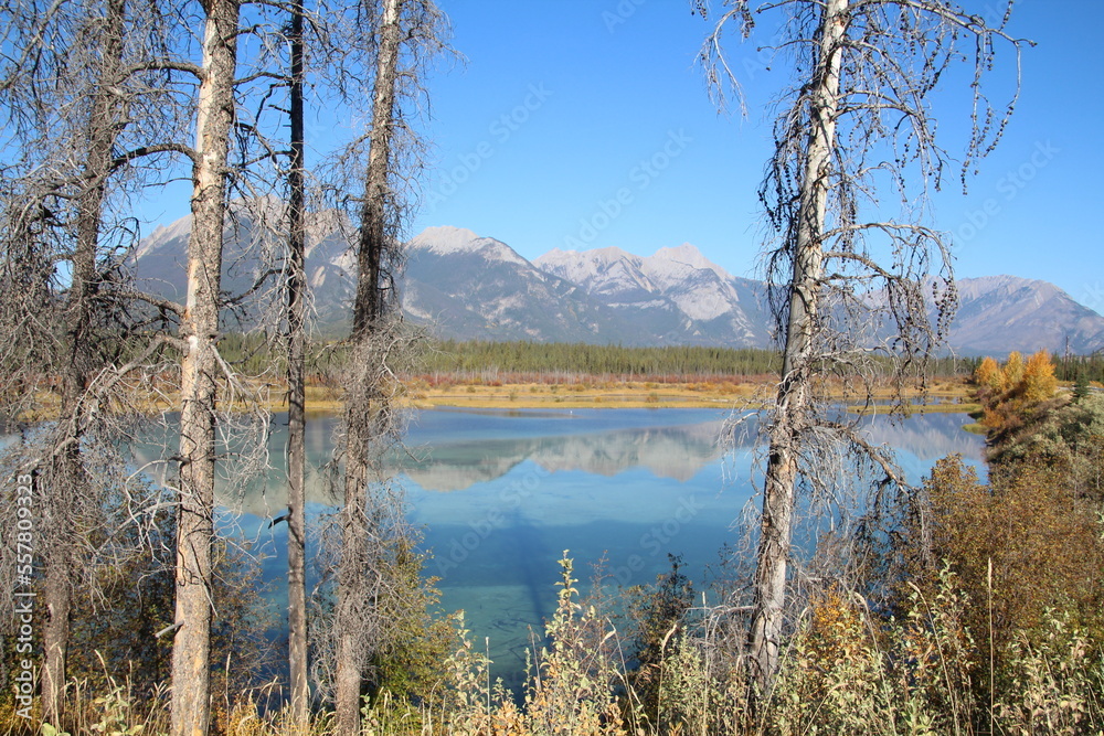 lake in the woods, Jasper National Park, Alberta lake in the woods, Jasper National Park, Alberta