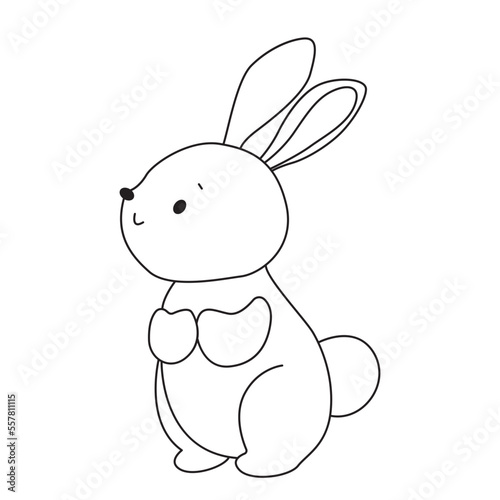 rabbit cartoon