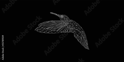 Hummingbird Polygonal Illustration, in the white line and black background