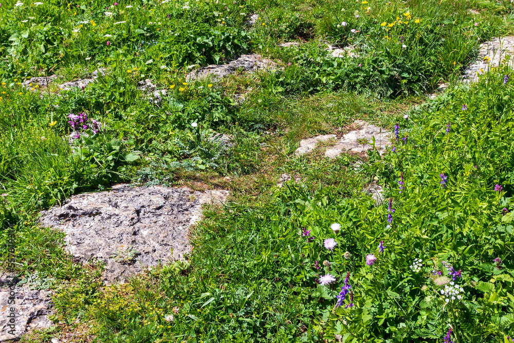 Summer, mountainous terrain, hiking trails running through the park, a place for walking and recreation. Summer, mountainous terrain, hiking trails running through the park, a place for walking and recreation.