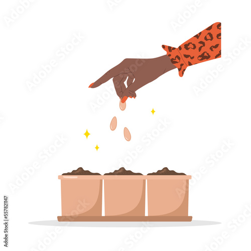 African female gardener hands plants spring seedlings in pot. Vector illustration in flat cartoon style. Organic greens. Gardening hobby. Horticulture concept.