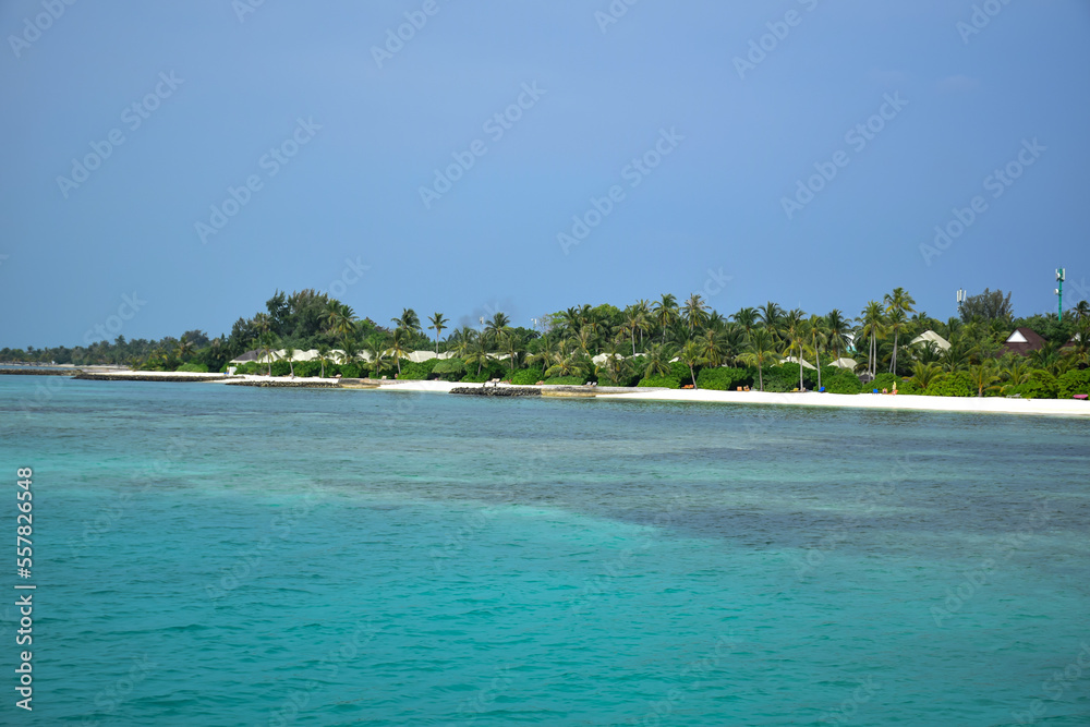 Fototapeta premium Maldives island landscape. Water, sand and greenery. Lush, tropical, vegetation, palm trees and bushes Shoreline with sandy beach. Wooden pathway pier. Walkway deck to private villas. Floating house