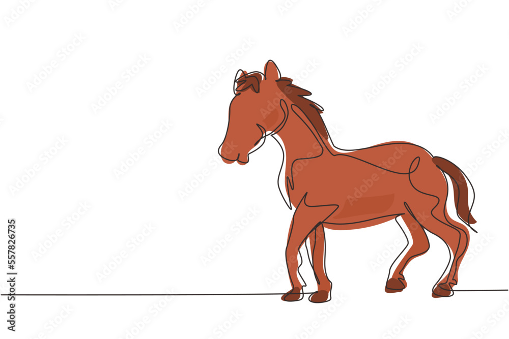 Single continuous line drawing proud white horse walks gracefully with its front hoof forward. Wild mustang gallops in free nature. Domesticated horse. One line draw graphic design vector illustration Single continuous line drawing proud white horse walks gracefully with its front hoof forward. Wild mustang gallops in free nature. Domesticated horse. One line draw graphic design vector illustration