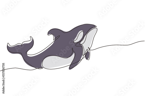 Fototapeta Naklejka Na Ścianę i Meble -  Single continuous line drawing whale killer in water. Orca in swimming pool. Wild whale killer fish swimming in sea life. Orca in under ocean water. One line draw graphic design vector illustration