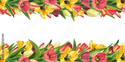 Seamless Border with Tulips yellow  red. Watercolor Illustration Easter floral for template  poster  womens day 8 march