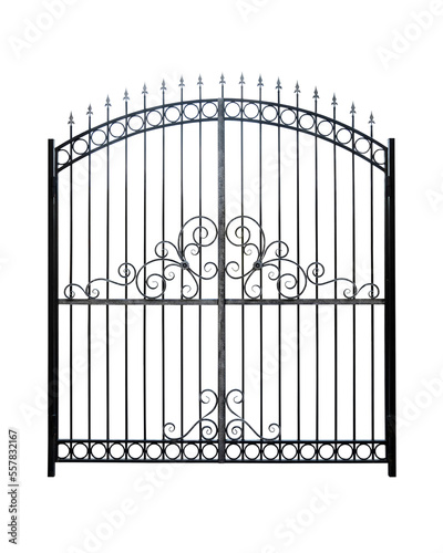 Fototapete Elegant wrought iron gate.