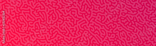 Turing reaction colorful background