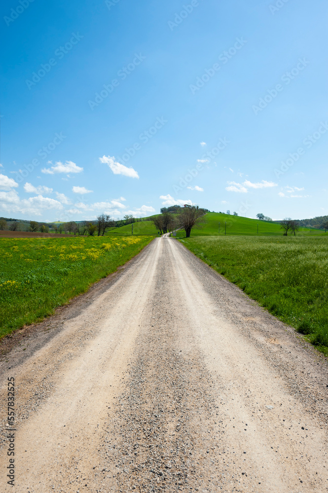 Agritourism in the hills of Tuscany