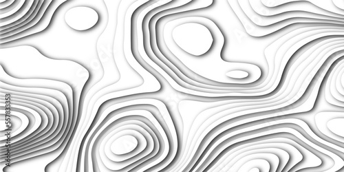 Abstract white paper cut shapes background with shadow and topography map concept, texture. Abstract realistic Papercut decoration background. Abstract papercut wavy line background.