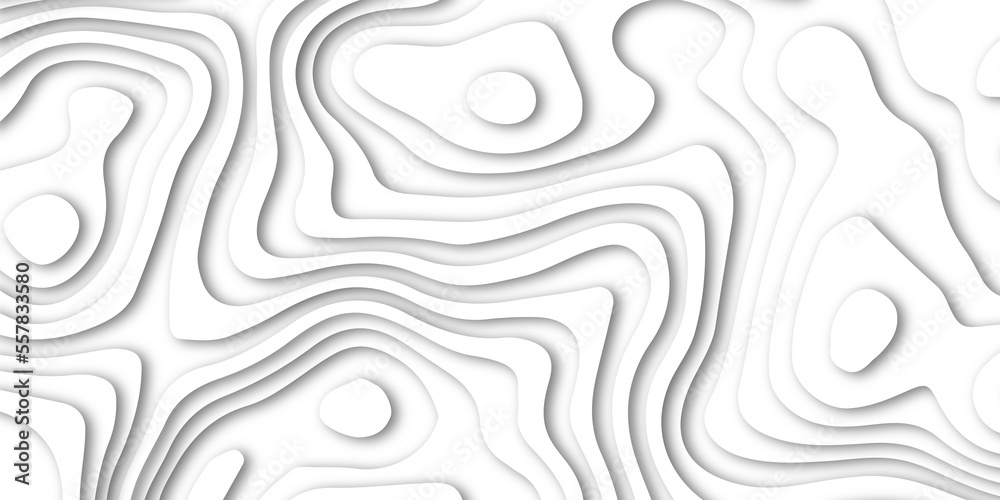 Abstract white paper cut shapes background with shadow and topography map concept, texture. Abstract realistic Papercut decoration background. Abstract papercut wavy line background.