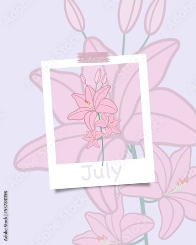 Minimalist flat floral illustration of pink lily flower. July concept theme, modern muted colors. Trendy calendar, summer season.