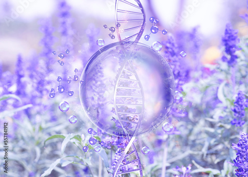 purple bubble on lavender field background