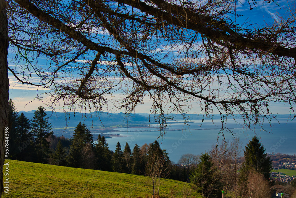 Blick auf den Bodensee von Lutzenreute Blick auf den Bodensee von Lutzenreute
