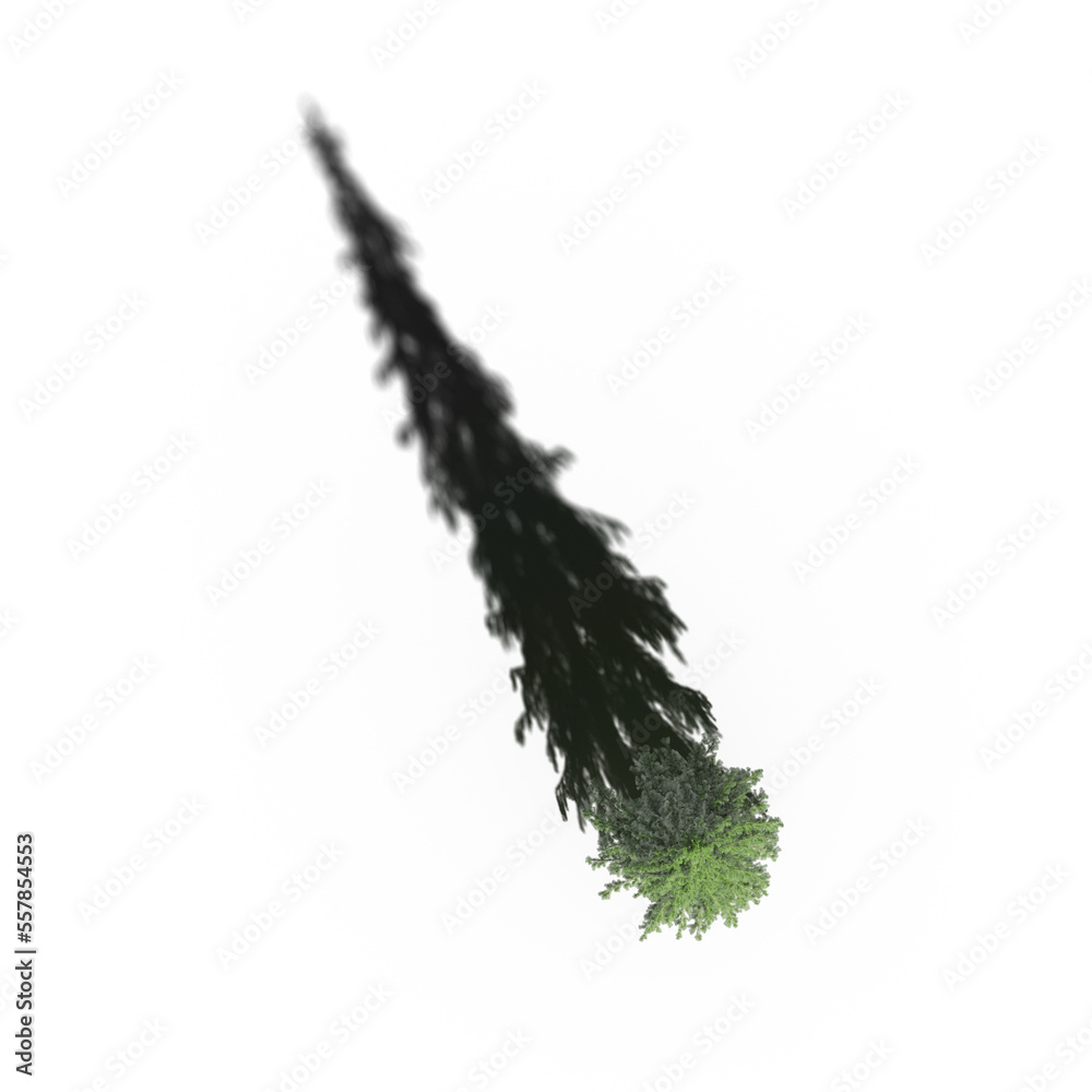 tree with a shadow under it, top view, isolated on white background, 3D illustration, cg render tree with a shadow under it, top view, isolated on white background, 3D illustration, cg render