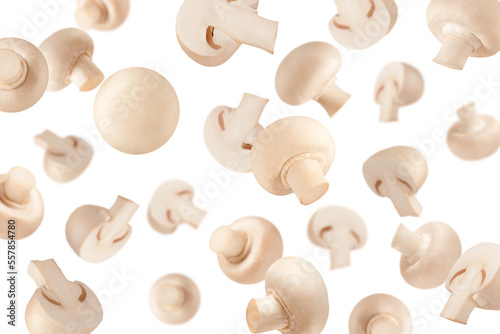 Falling mushrooms on white surface for advertisement