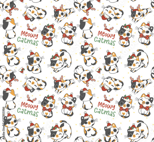 Cute pattern seamless background funny Santa Calico kitten cats Christmas animal cartoon doodle drawing isolated on white background