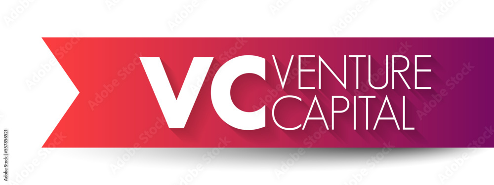 VC Venture Capital - form of investment in early-stage companies with strong growth potential, acronym text concept background VC Venture Capital - form of investment in early-stage companies with strong growth potential, acronym text concept background