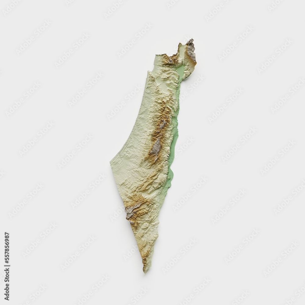 Israel and Palestine Topographic Relief Map - 3D Render Stock