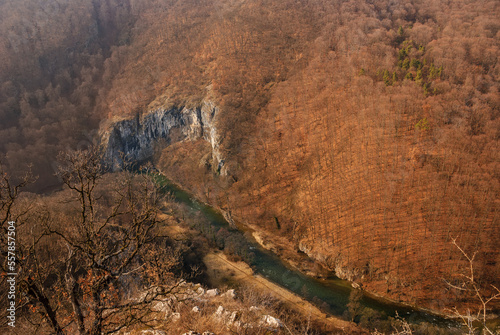 Scenic aerial view of a gorge valley in the late autumn natural landscape background. The mighty river dug its way through the hard rock of the mountains covered with leafless fall beech forests