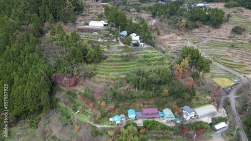 樫原・府殿の棚田