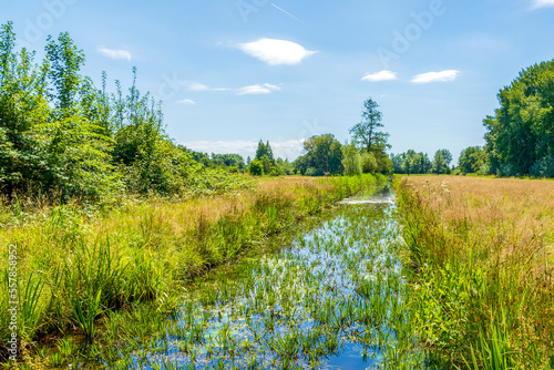 The beautiful polders with canals and trees around the Reeuwijkse Plassen near Gouda, the Netherlands photo