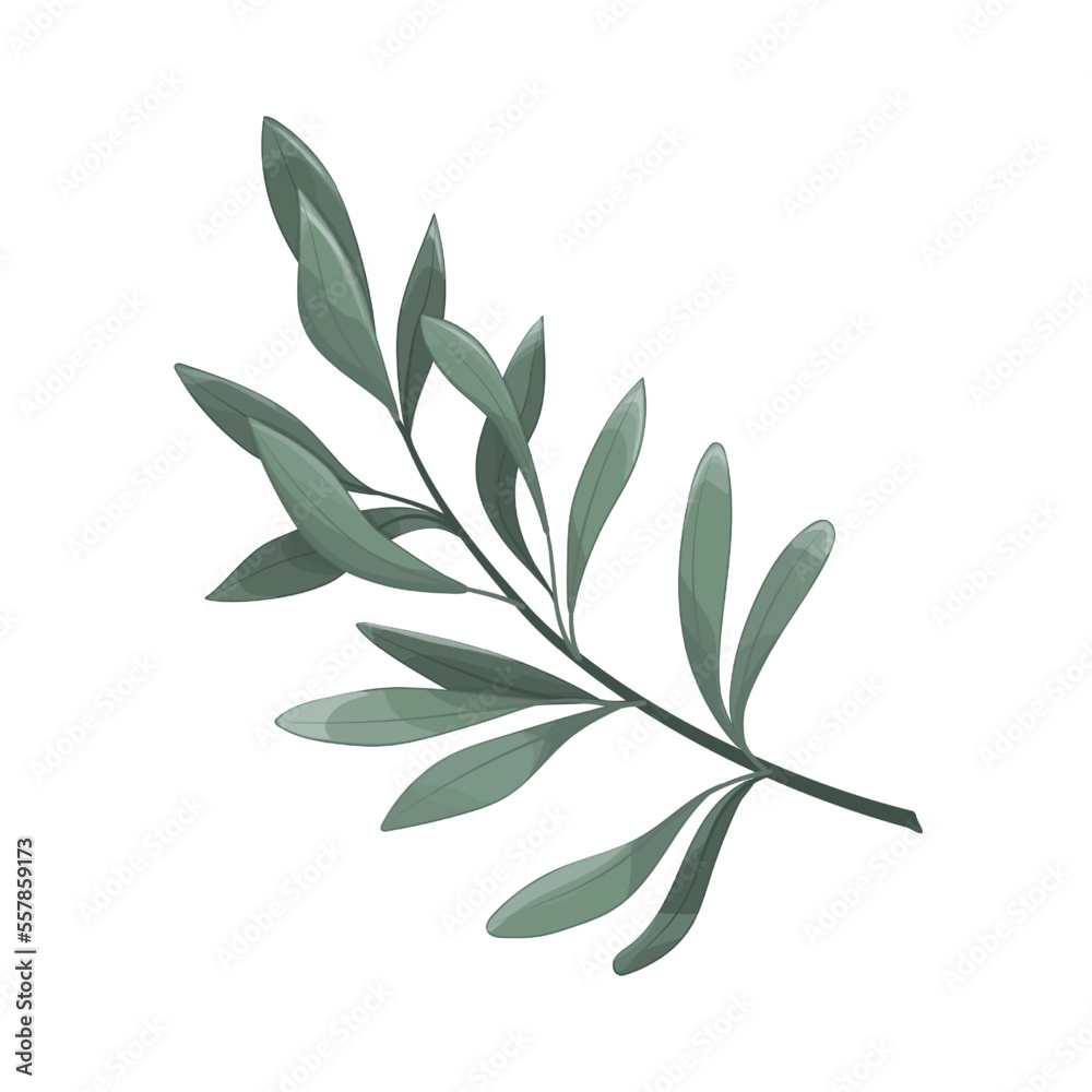 Art watercolor natural branches leave elements. Vector illustration