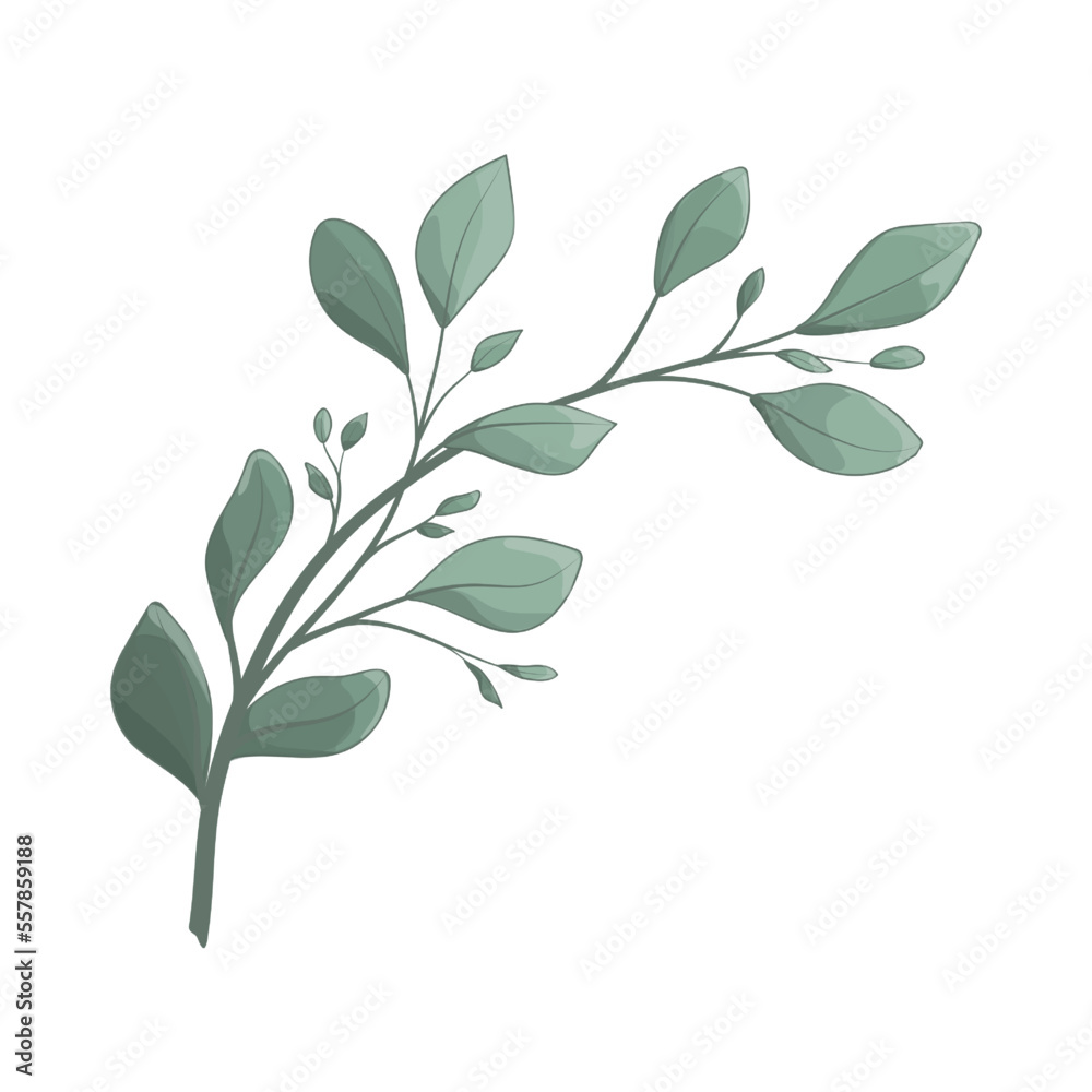 Art watercolor natural branches leave elements. Vector illustration