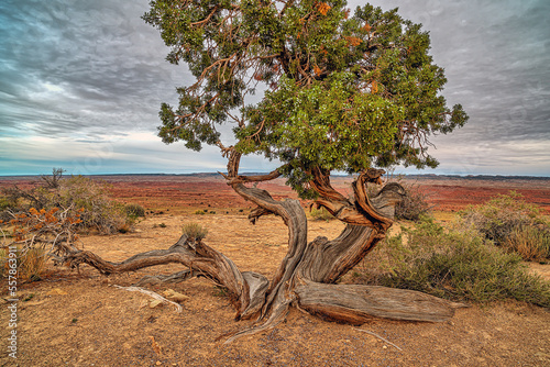 San Rafael Swell is a large geologic feature