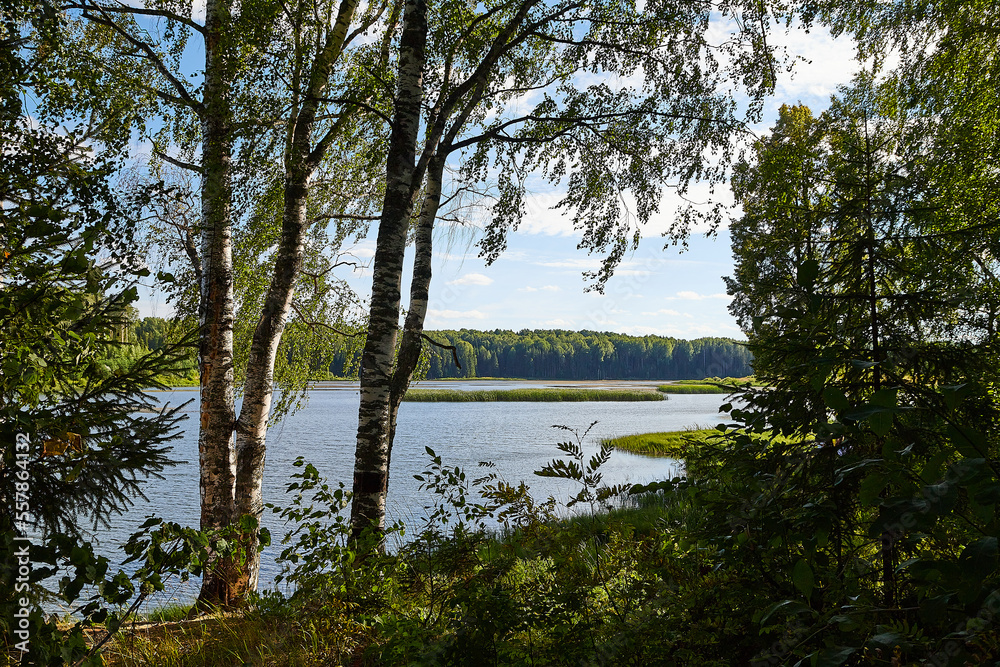Landscape with lake, blue sky, clouds and trees. Beautiful nature landscape in a summer day Landscape with lake, blue sky, clouds and trees. Beautiful nature landscape in a summer day