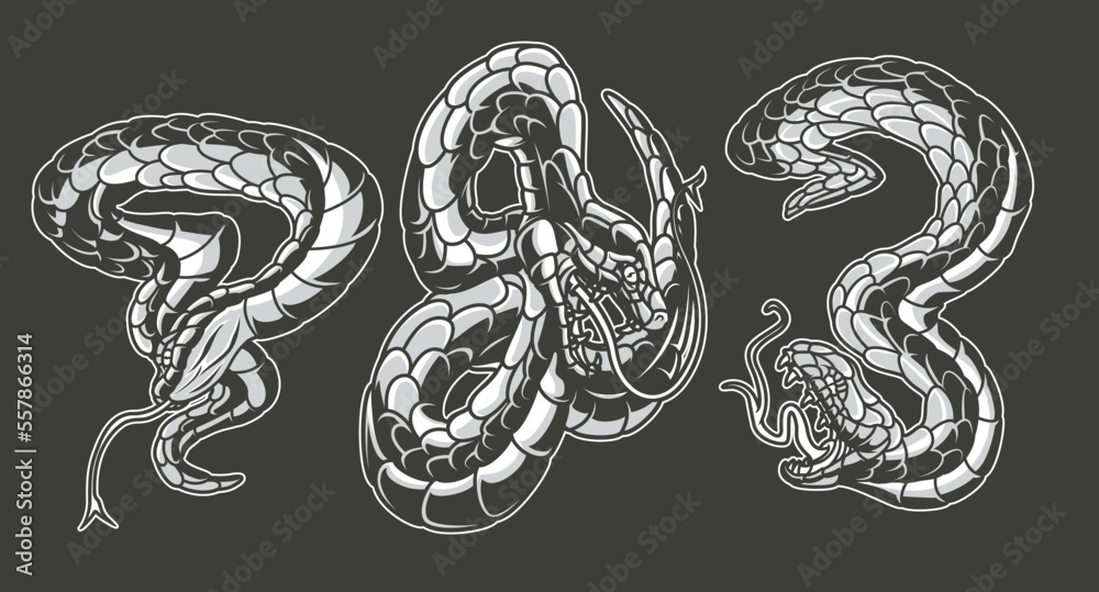 Black and white vector illustrations of snakes Black and white vector illustrations of snakes