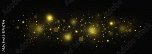 Glitter dust of particles. Christmas concept. Glowing light effect. Magic background.