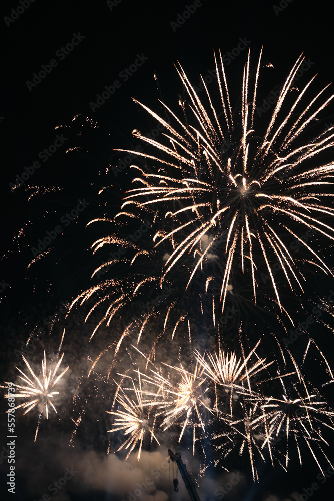 Obraz premium firework