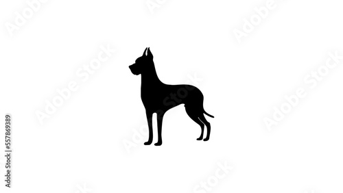 Great dane silhouette, high quality vector