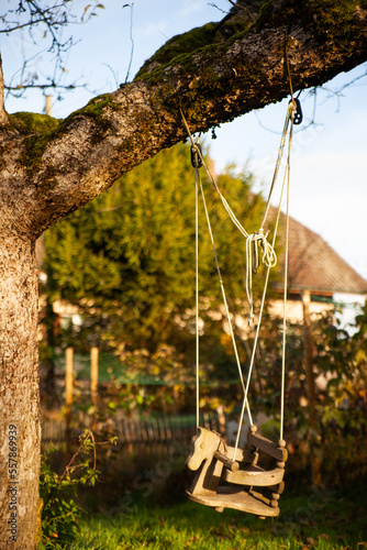Children's swing on an old tree in a garden in Switzerland