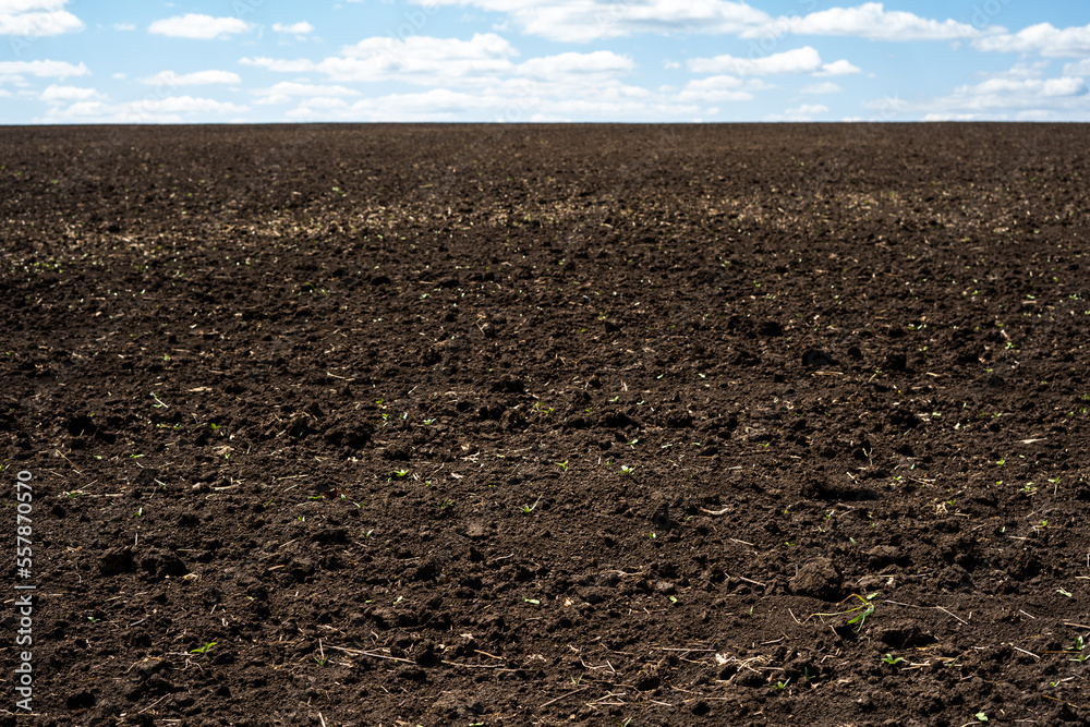 Plowed field with cloudy sky - fertile land scene Plowed field with cloudy sky - fertile land scene