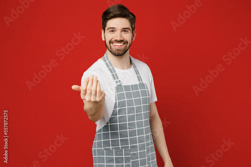 Billede på lærred Young friendly male housewife housekeeper chef cook baker man wear grey apron look camera waving hand say come here calling gesture isolated on plain red color background studio
