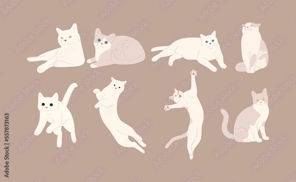 Fototapeta premium white cat cute 4 on a brown background, vector illustration.