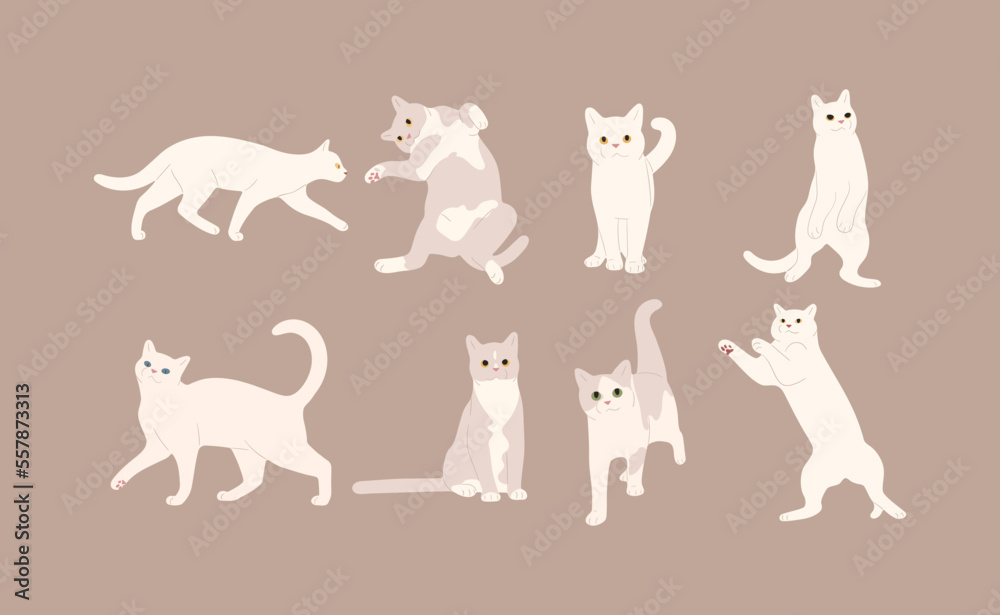 white cat cute 11 on a brown background, vector illustration.