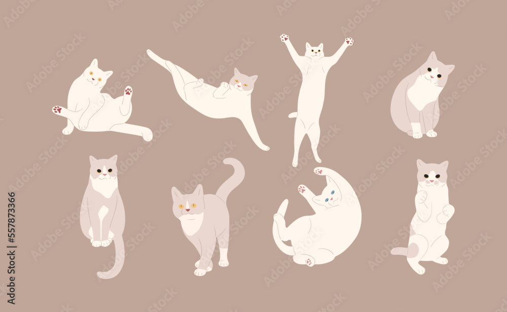 white cat cute 14 on a brown background, vector illustration.